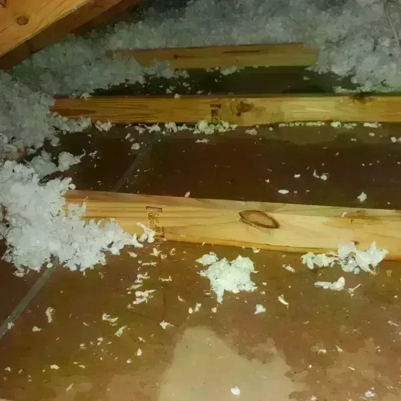 Attic Water Damage in East Wenatchee, WA